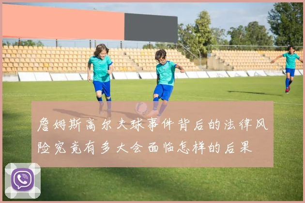 詹姆斯高尔夫球事件背后的法律风险究竟有多大会面临怎样的后果