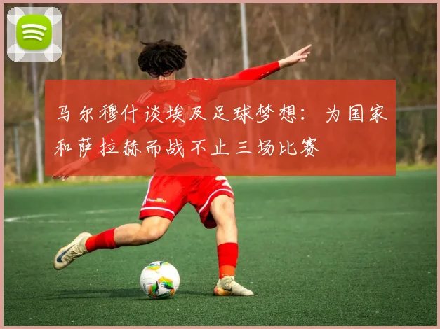马尔穆什谈埃及足球梦想：为国家和萨拉赫而战不止三场比赛