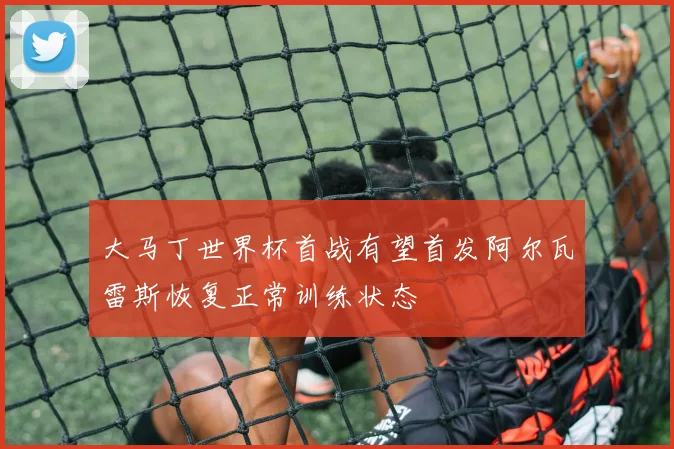 大马丁世界杯首战有望首发阿尔瓦雷斯恢复正常训练状态