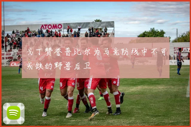 戈丁赞誉普比尔为马竞防线中不可或缺的野兽后卫